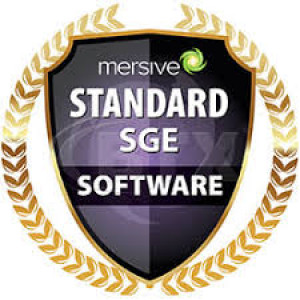 MERSIVE Solstice Windows Host SGE Standard 2 Years Extende