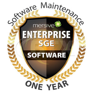 MERSIVE Solstice Windows Host SGE Enterprise License
